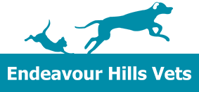 Vets in Endeavour Hills